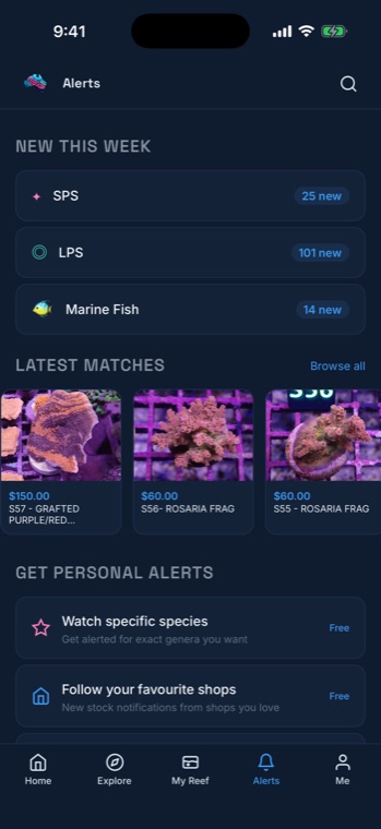 The Alerts tab, showing new stock counts by category and latest matches