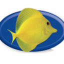 Fantasea Aquariums logo